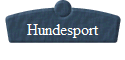 Hundesport